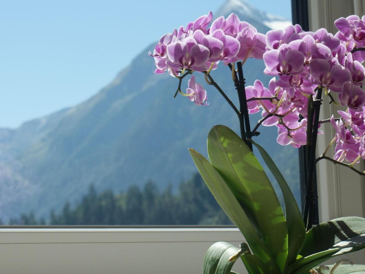 Apartment With Terrace In Kaprun Salzburg Exteriör bild